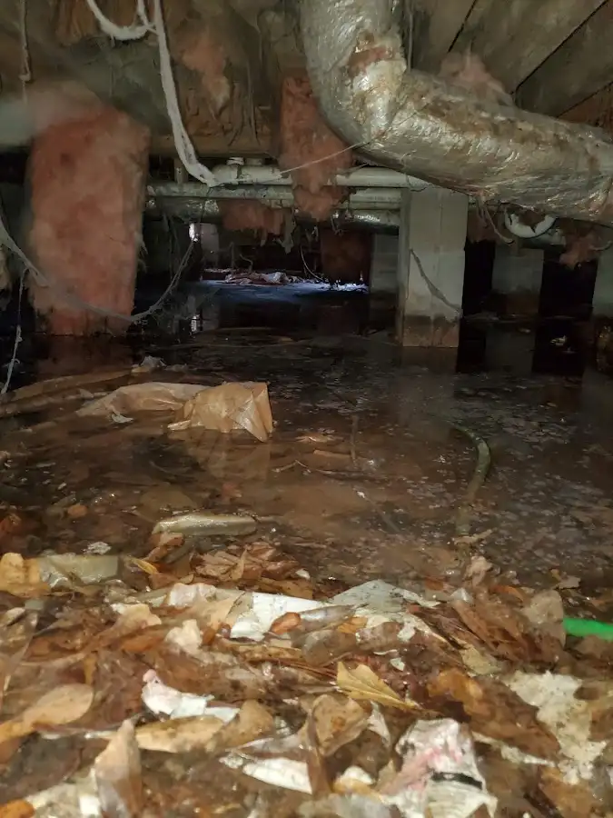 Crawl space flood assessment for Commercial Water Damage Restoration in Tustin